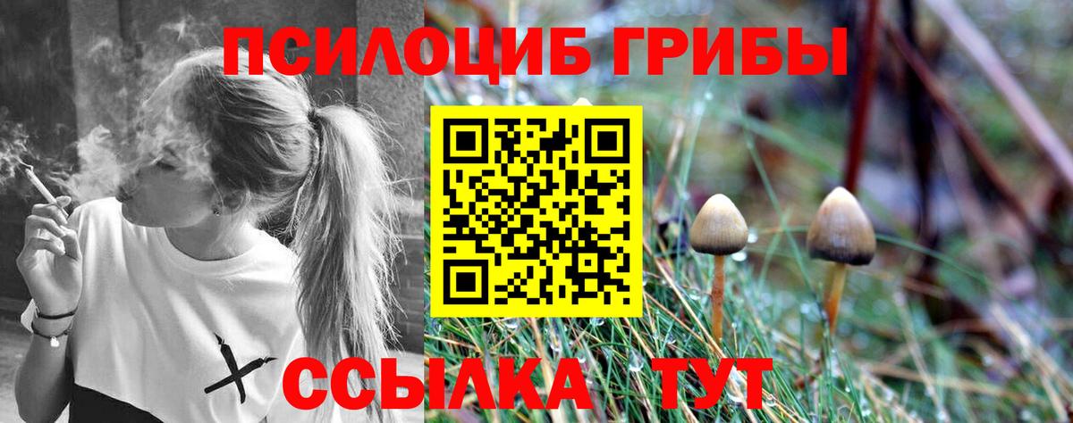 Псилоцибиновые грибы GOLDEN TEACHER  Вход с VPN  Дзержинский 